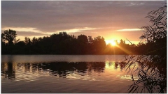 rsd_carp_cup_2017-63