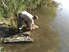 rsd_carp_cup_2017-84