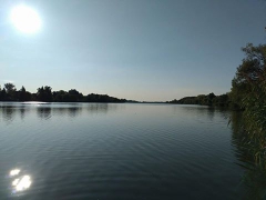 rsd_carp_cup_2017-97